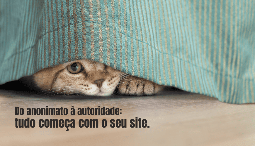 Quanto Custa um Site Profissional